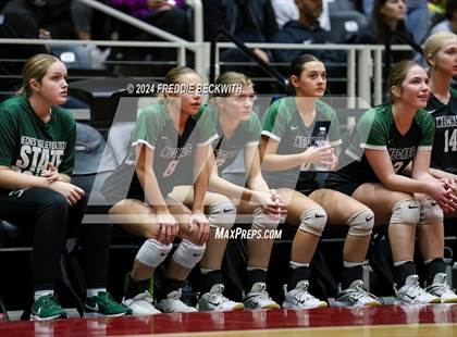 Thumbnail 3 in Neches vs. Harrold (UIL 1A Volleyball Final) photogallery.