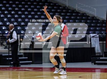Thumbnail 2 in Neches vs. Harrold (UIL 1A Volleyball Final) photogallery.