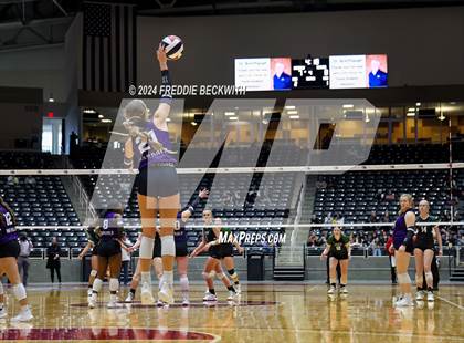 Thumbnail 1 in Neches vs. Harrold (UIL 1A Volleyball Final) photogallery.