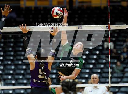 Thumbnail 2 in Neches vs. Harrold (UIL 1A Volleyball Final) photogallery.