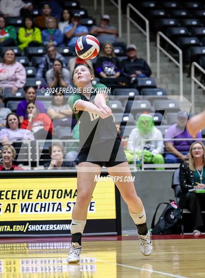 Thumbnail 1 in Neches vs. Harrold (UIL 1A Volleyball Final) photogallery.