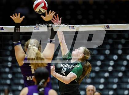 Thumbnail 3 in Neches vs. Harrold (UIL 1A Volleyball Final) photogallery.