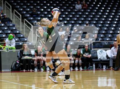 Thumbnail 3 in Neches vs. Harrold (UIL 1A Volleyball Final) photogallery.