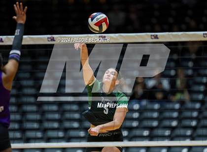 Thumbnail 1 in Neches vs. Harrold (UIL 1A Volleyball Final) photogallery.