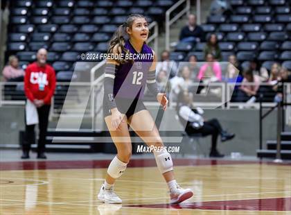 Thumbnail 1 in Neches vs. Harrold (UIL 1A Volleyball Final) photogallery.