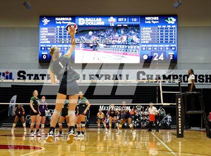 Thumbnail 1 in Neches vs. Harrold (UIL 1A Volleyball Final) photogallery.