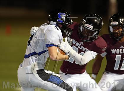 Thumbnail 3 in Mansfield Summit @ Mansfield Timberview photogallery.
