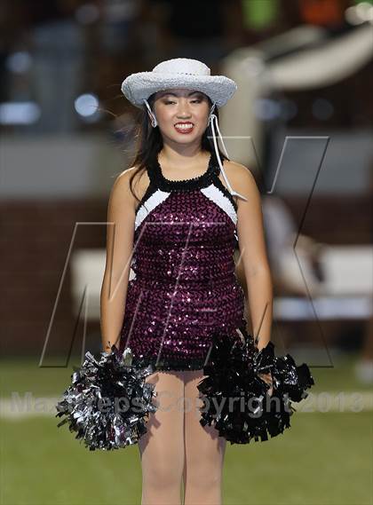 Thumbnail 3 in Mansfield Summit @ Mansfield Timberview photogallery.