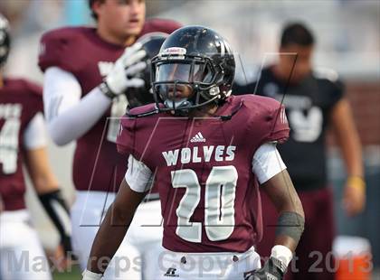 Thumbnail 3 in Mansfield Summit @ Mansfield Timberview photogallery.