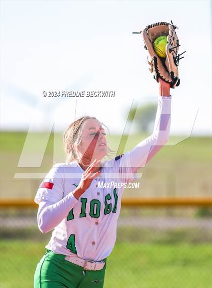 Thumbnail 1 in Tioga @ Muenster photogallery.