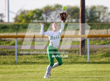 Thumbnail 1 in Tioga @ Muenster photogallery.