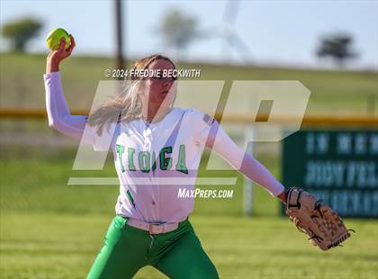 Thumbnail 1 in Tioga @ Muenster photogallery.