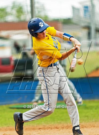 Thumbnail 2 in Havelock @ Richlands photogallery.