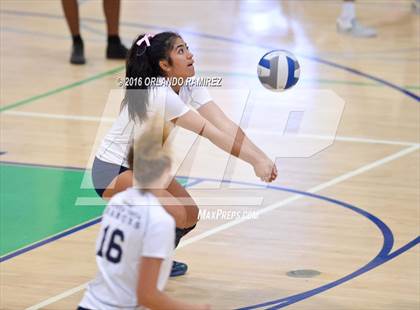 Thumbnail 3 in Bonita Vista @ Eastlake photogallery.