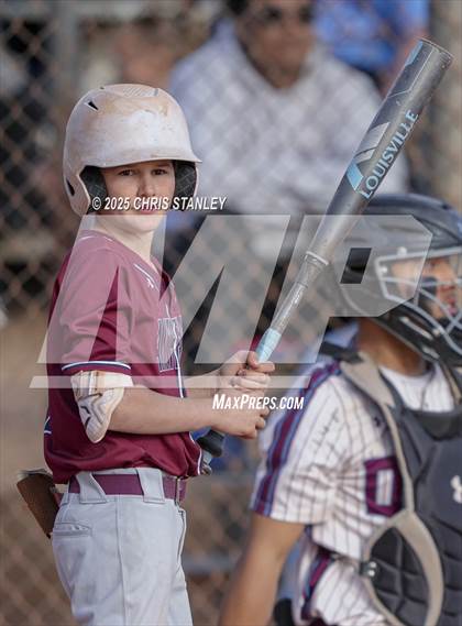 Thumbnail 3 in Anthem Prep @ Desert Heights Prep photogallery.