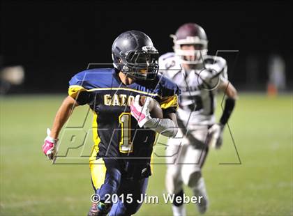 Thumbnail 2 in Wiregrass Ranch @ Land O' Lakes photogallery.