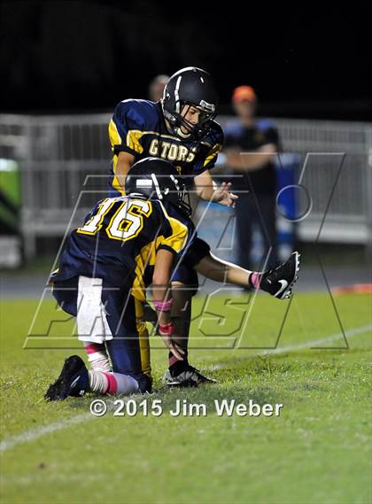 Thumbnail 1 in Wiregrass Ranch @ Land O' Lakes photogallery.