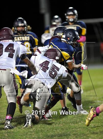 Thumbnail 3 in Wiregrass Ranch @ Land O' Lakes photogallery.