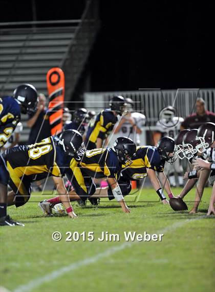 Thumbnail 3 in Wiregrass Ranch @ Land O' Lakes photogallery.