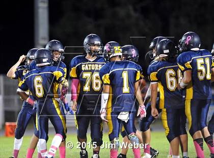 Thumbnail 1 in Wiregrass Ranch @ Land O' Lakes photogallery.