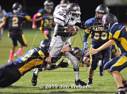Thumbnail 2 in Wiregrass Ranch @ Land O' Lakes photogallery.