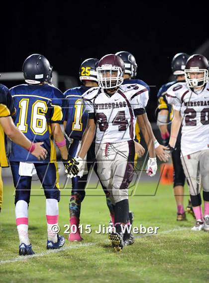Thumbnail 2 in Wiregrass Ranch @ Land O' Lakes photogallery.