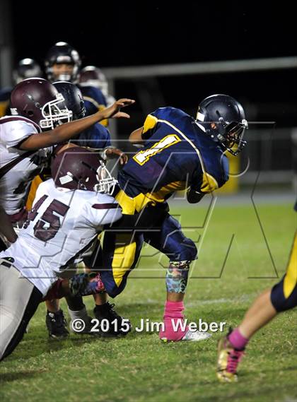 Thumbnail 1 in Wiregrass Ranch @ Land O' Lakes photogallery.