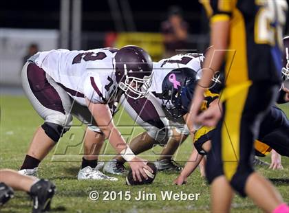 Thumbnail 3 in Wiregrass Ranch @ Land O' Lakes photogallery.