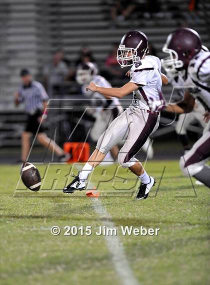 Thumbnail 3 in Wiregrass Ranch @ Land O' Lakes photogallery.