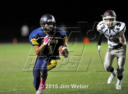 Thumbnail 3 in Wiregrass Ranch @ Land O' Lakes photogallery.