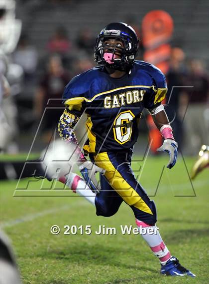 Thumbnail 2 in Wiregrass Ranch @ Land O' Lakes photogallery.
