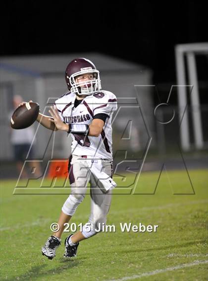 Thumbnail 2 in Wiregrass Ranch @ Land O' Lakes photogallery.