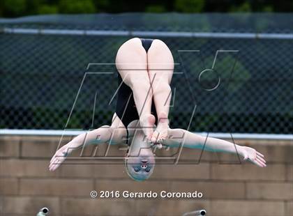 Thumbnail 3 in CIF SJS Girls Diving Championships photogallery.