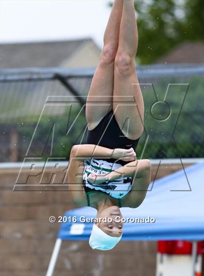 Thumbnail 2 in CIF SJS Girls Diving Championships photogallery.