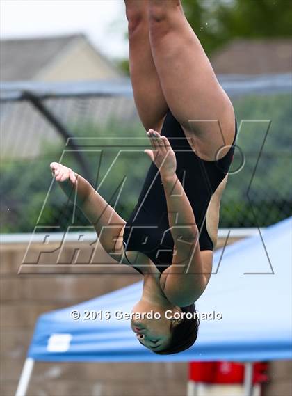 Thumbnail 2 in CIF SJS Girls Diving Championships photogallery.
