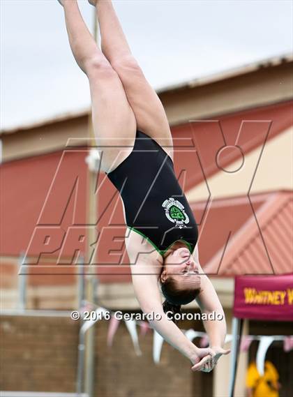 Thumbnail 3 in CIF SJS Girls Diving Championships photogallery.