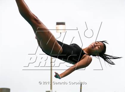 Thumbnail 1 in CIF SJS Girls Diving Championships photogallery.