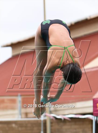 Thumbnail 3 in CIF SJS Girls Diving Championships photogallery.