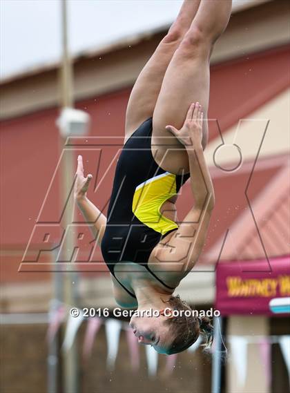 Thumbnail 1 in CIF SJS Girls Diving Championships photogallery.