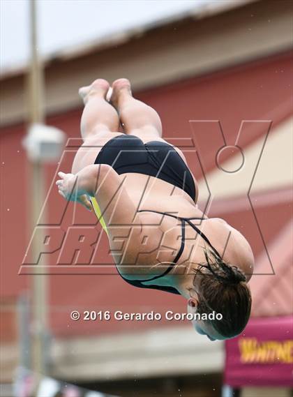 Thumbnail 2 in CIF SJS Girls Diving Championships photogallery.