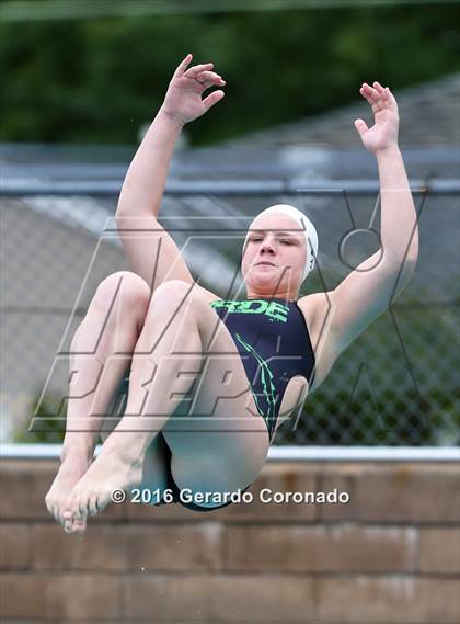 Thumbnail 2 in CIF SJS Girls Diving Championships photogallery.