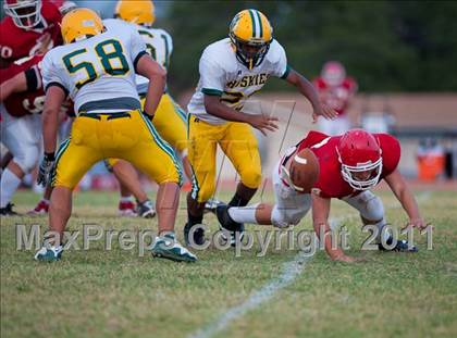 Thumbnail 2 in Holmes @ Taft photogallery.