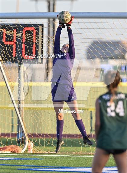 Thumbnail 1 in Reagan [Ronald] vs Lee photogallery.