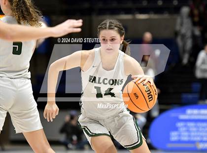 Thumbnail 3 in Escalon vs. Colfax (CIF SJS D4 Final) photogallery.