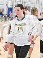 Photo from the gallery "El Camino vs. Shorecrest (Nike TOC Southwest)"