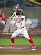 Photo from the gallery "Longview @ Marshall"