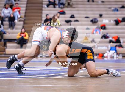 Thumbnail 1 in Valley vs Chaparral photogallery.