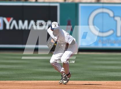 Thumbnail 1 in Segerstrom vs. Anaheim photogallery.