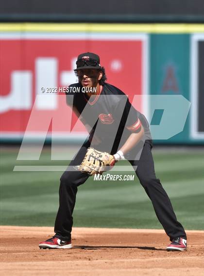 Thumbnail 3 in Segerstrom vs. Anaheim photogallery.