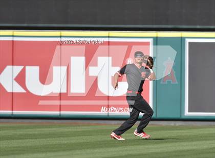Thumbnail 3 in Segerstrom vs. Anaheim photogallery.